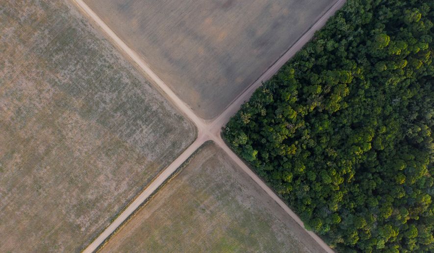 FILE - A section of the Amazon rainforest stands next to soy fields in Belterra, Para state, Brazil, on Nov. 30, 2019. (AP Photo/Leo Correa, File)