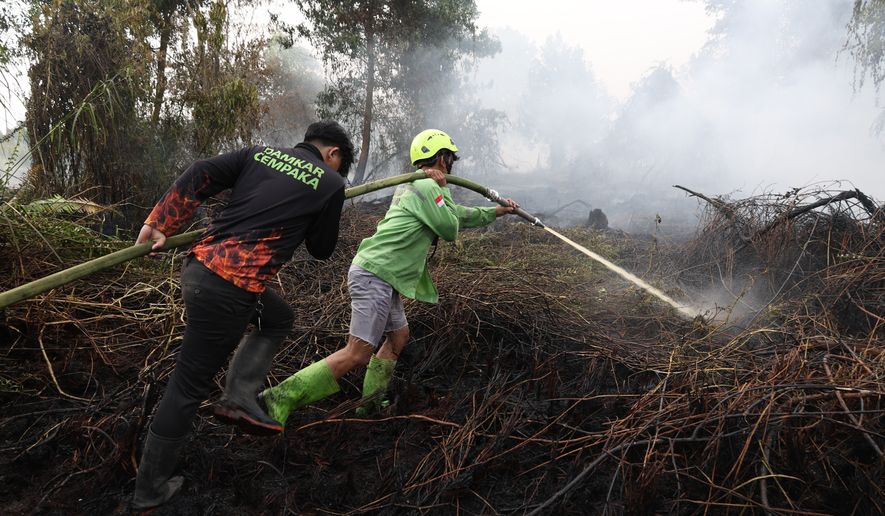 Firefighters spray water in an attempt to extinguish fire that razes through a peatland field in Kubu Raya, West Kalimantan, Indonesia, Tuesday, Aug. 11, 2026. (AP Photo/Stefanus Taman)