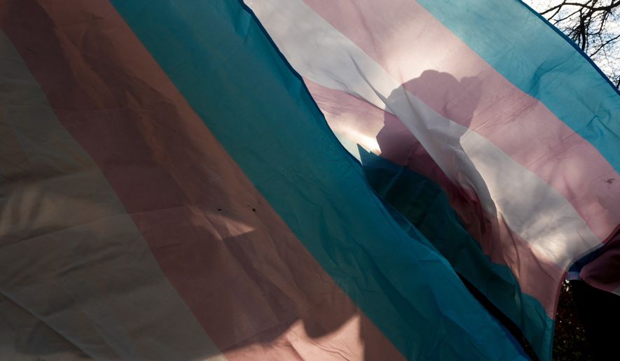 FILE - A protester is silhouetted against a trans pride flag during a pro-transgender rights protest outside of Seattle Children's Hospital, Feb. 9, 2025, in Seattle. (AP Photo/Lindsey Wasson, File)