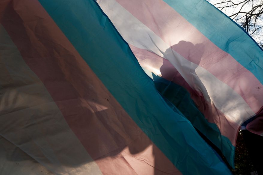 FILE - A protester is silhouetted against a trans pride flag during a pro-transgender rights protest outside of Seattle Children's Hospital, Feb. 9, 2025, in Seattle. (AP Photo/Lindsey Wasson, File)