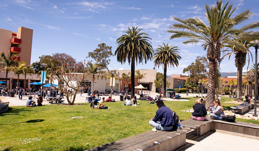 Students sitting and relaxing on the lawn in front of the Davidson Library on the campus of UCSB, University of California Santa Barbara - April 15, 2024. Image credit: bluestork via Shutterstock.