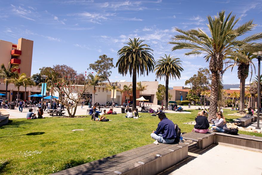 Students sitting and relaxing on the lawn in front of the Davidson Library on the campus of UCSB, University of California Santa Barbara - April 15, 2024. Image credit: bluestork via Shutterstock.