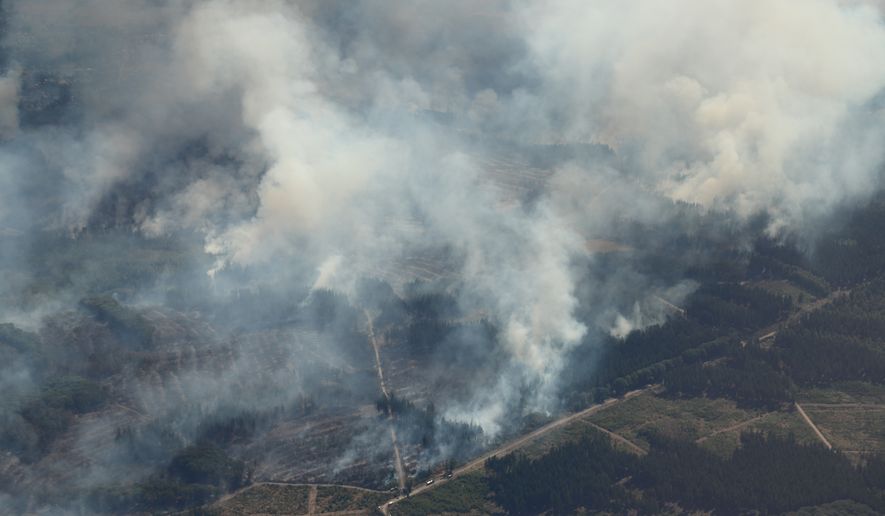 Smoke from a forest fire rises above the Hürtgenwald, in Düren, Germany, Friday, Aug. 14, 2026. (Sascha Thelen/dpa via AP)