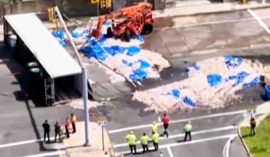 In this image taken from drone footage, workers clean squid from a roadway in Narragansett, R.I., Sunday, Aug. 16, 2026. (John McNamara/PierPicture via AP)