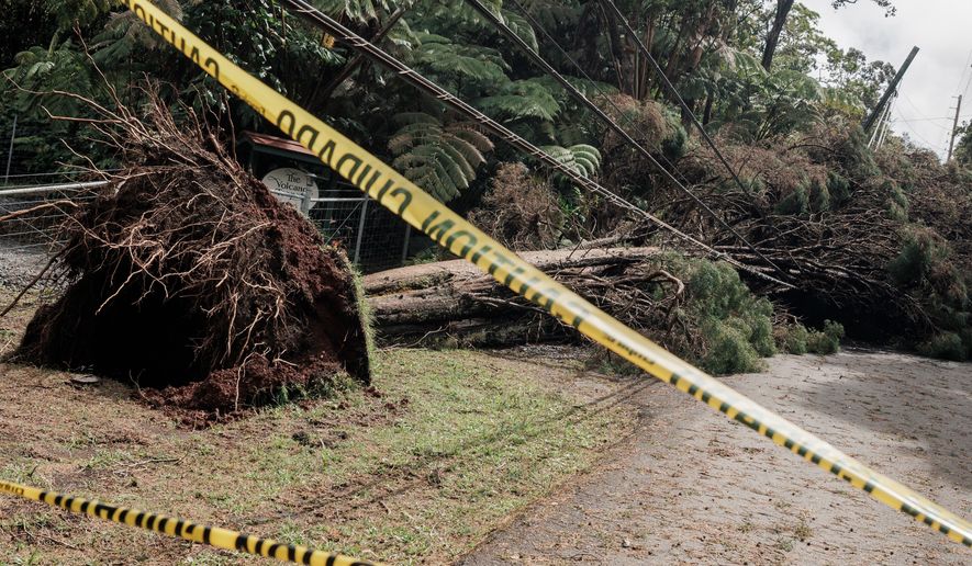 Caution tape is seen in front of a downed tree blocking a road the day after Hurricane Lala near Volcano, Hawaii, Sunday, Aug. 16, 2026. (Stephen Lam/San Francisco Chronicle via AP)