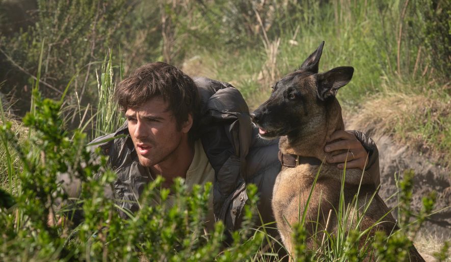 This image released by 20th Century Studios shows Jacob Elordi in a scene from "The Dog Stars." (Fabio Lovino/20th Century Studios via AP)