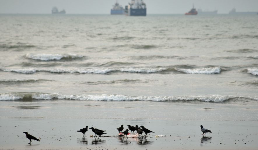 Birds gather around litter on a beach as commercial vessels lie anchored in the Strait of Hormuz off Bandar Abbas, Iran, Wednesday, Sept. 2, 2026. (Razieh Poudat/ISNA via AP)