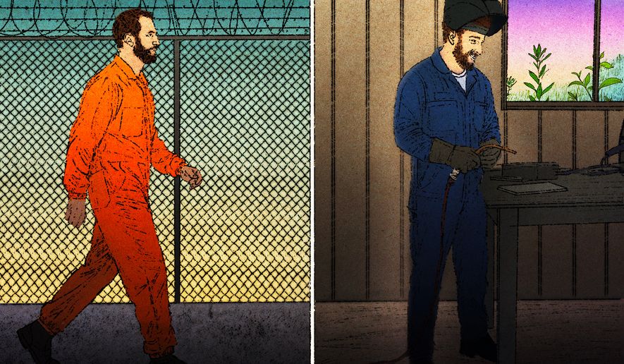 (AP Illustration / Peter Hamlin)