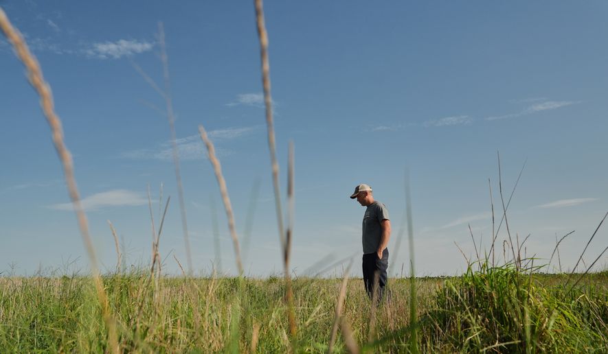 David Mueller stands in his Kernza field Tuesday, July 28, 2026, at his farm in Halstead, Kan. (AP Photo/Joshua A. Bickel)