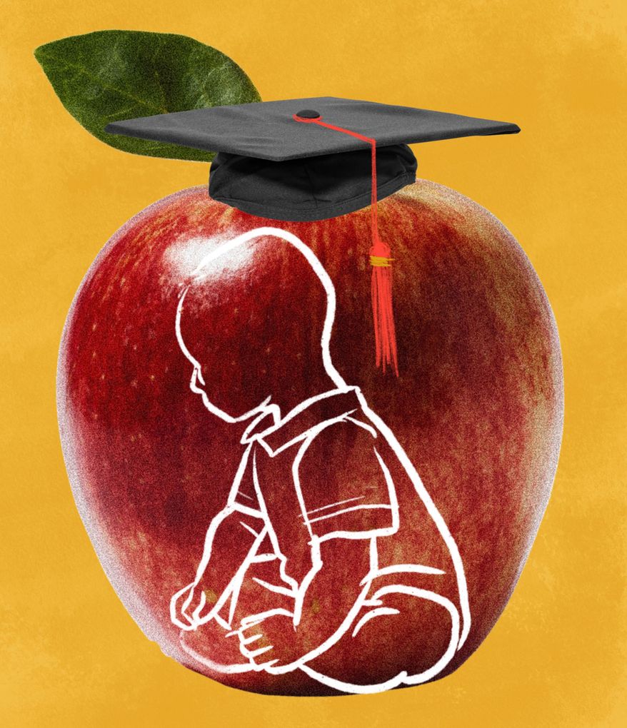 Childcare reforms and affordablitly illustration by Linas Garsys / The Washington Times