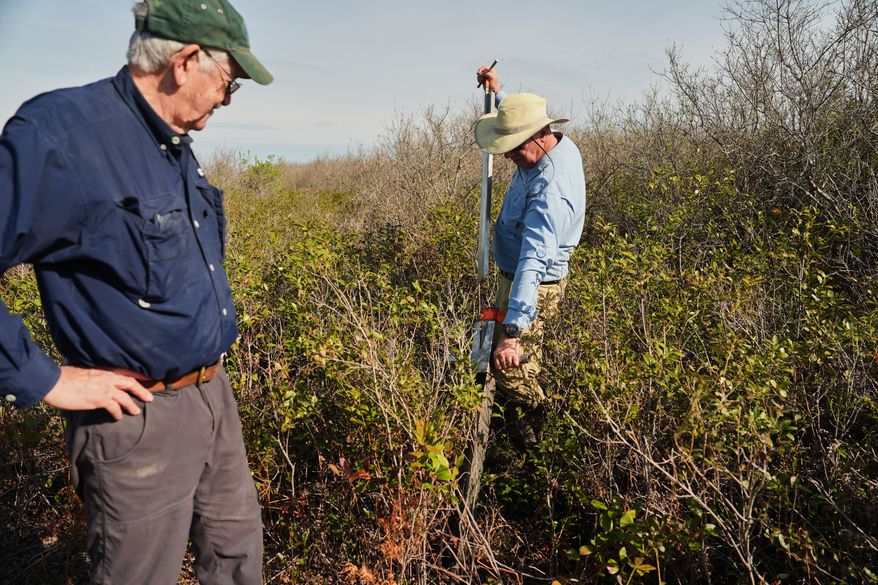 Neal Flanagan, right, a research scientist at Duke University, uses a tool to take a soil sample from a peatland as Curt Richardson, an ecology professor at Duke, observes Wednesday, May 6, 2026, in Belhaven, N.C. (AP Photo/Joshua A. Bickel)