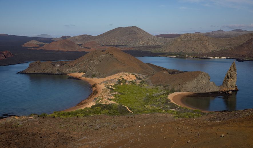 FILE - Saltwater succulents grow by the water on Bartolome Island, Ecuador in the Galapagos on June 7, 2024. (AP Photo/Alie Skowronski, File)