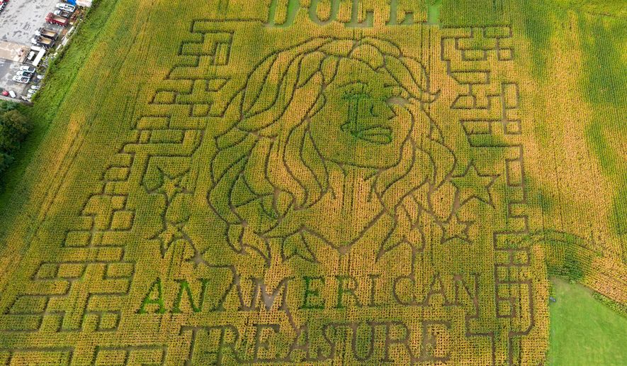 A portrait of Dolly Parton fills a 5-acre corn maze at Twins BBQ Co. in Brookfield, Conn., on Sunday, Sept. 13, 2026. (AP Photo/Ted Shaffrey)