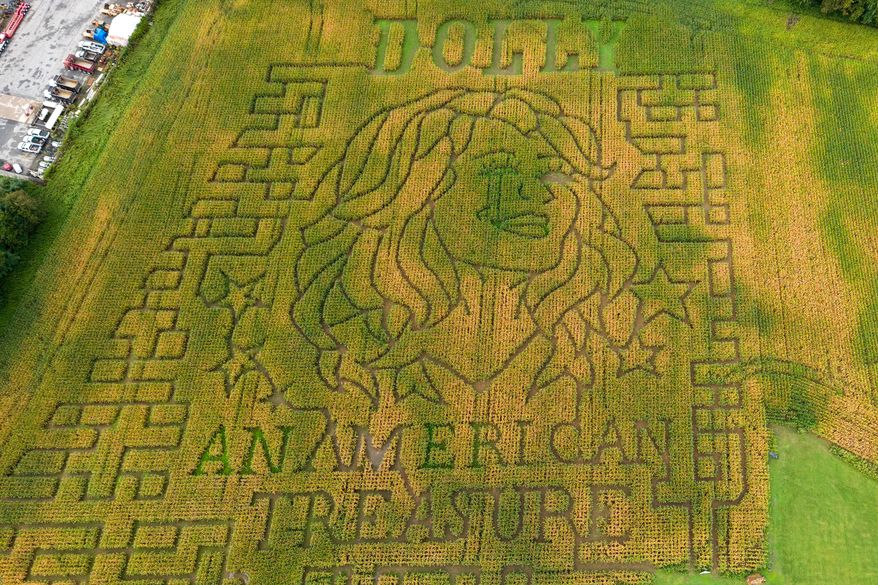 A portrait of Dolly Parton fills a 5-acre corn maze at Twins BBQ Co. in Brookfield, Conn., on Sunday, Sept. 13, 2026. (AP Photo/Ted Shaffrey)