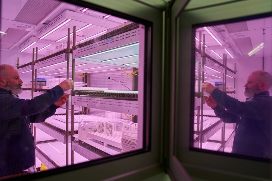 Todd Michael, a research professor at the Salk Institute for Biological Studies, works at his lab in La Jolla, Calif., Wednesday, Dec. 3, 2025. (AP Photo/Annika Hammerschlag)