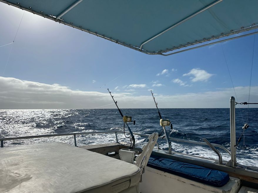 Charter boat trip. File photo credit: Unlenny via Shutterstock.