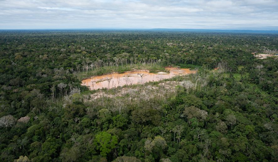FILE - Deforestation from illegal mining is visible in the Tambopata National Reserve in Puerto Maldonado, Peru, Aug. 11, 2026. (AP Photo/Guadalupe Pardo, File)