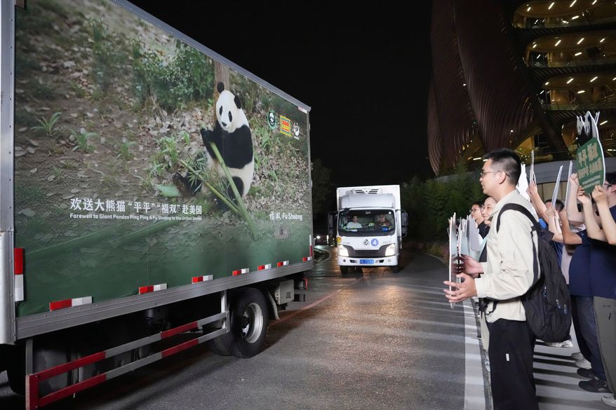 In this photo released by Xinhua News Agency, vehicles carrying a pair of giant pandas, Ping Ping and Fu Shuang, leave the Chengdu Research Base of Giant Panda Breeding in Chengdu, southwestern China's Sichuan Province, Saturday, Sept. 26, 2026.(Xu Bingjie/Xinhua via AP)
