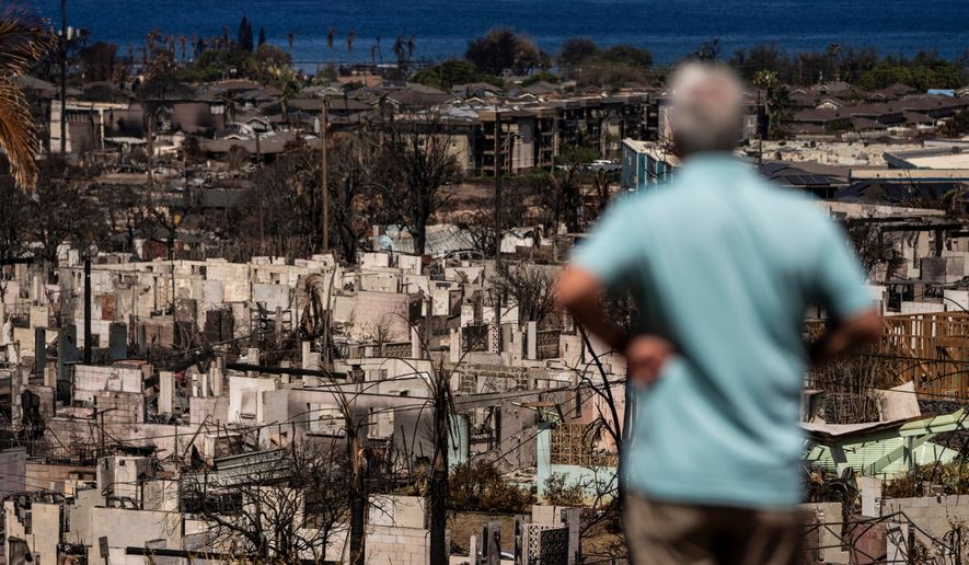 A man views the aftermath of a wildfire in Lahaina, Hawaii, Aug. 19, 2023. (AP Photo/Jae C. Hong, File)