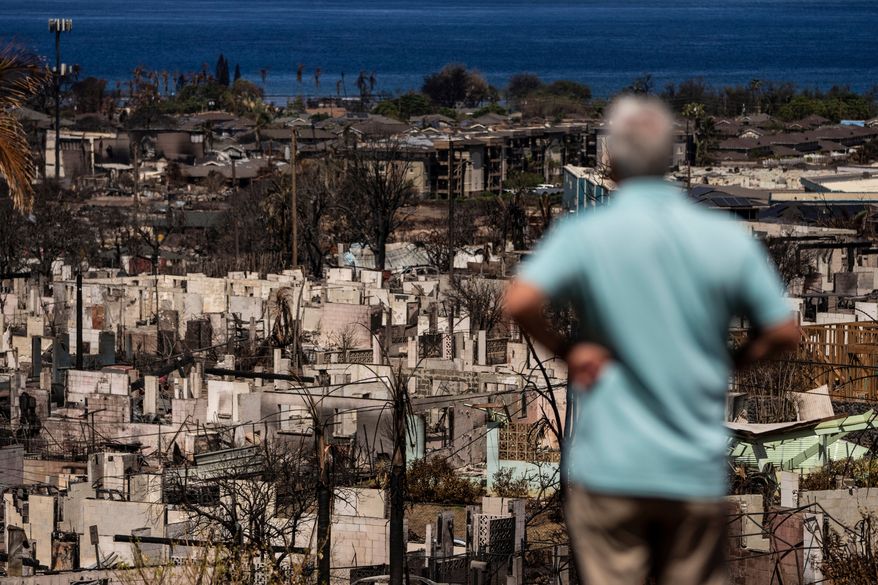 A man views the aftermath of a wildfire in Lahaina, Hawaii, Aug. 19, 2023. (AP Photo/Jae C. Hong, File)