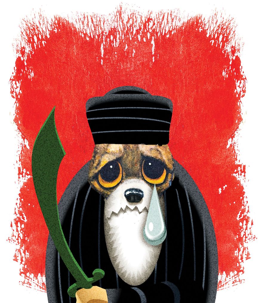 Iran as the victim illustration by Alexander Hunter/The Washington Times
