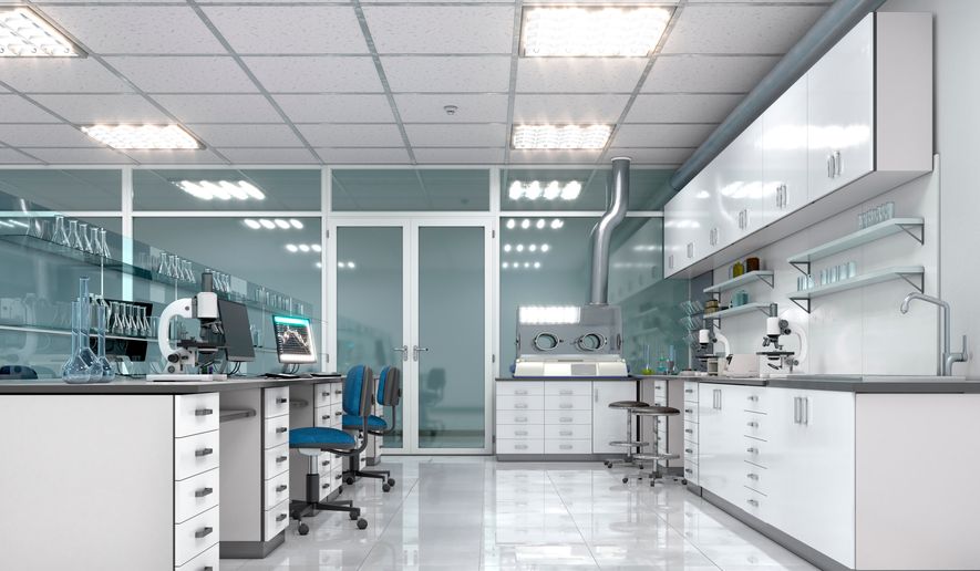 Interior of a laboratory workplace. File photo credit: urfin via Shutterstock.
