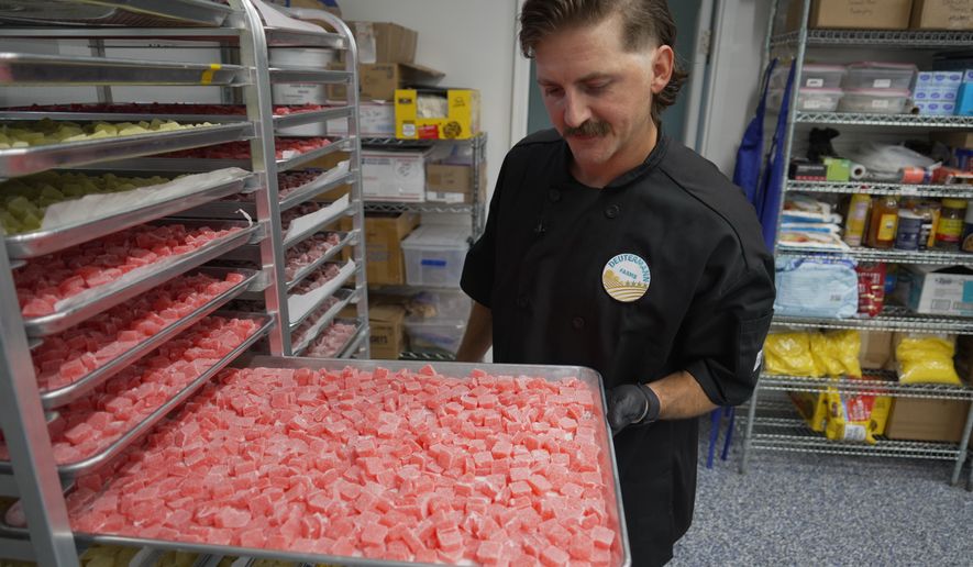 Nicholas Hohns shows off a tray of strawberry-lemon CBD gummies at his Deutermann Farms kitchen in Clayton, N.C., on Wednesday, Sept. 23, 2026. (AP Photo/Allen G. Breed)