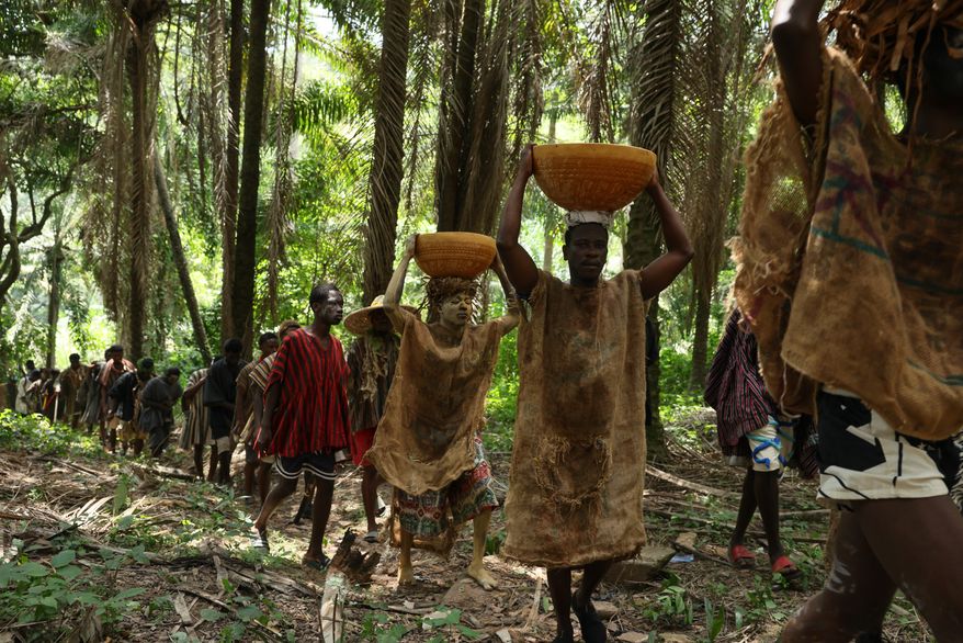 Youth march in a forest during a re-enactment of the Akatamanso War as part of the Odwira Festival celebrations in Larteh, Ghana, on Wednesday, Sept. 30, 2026 . (AP Photo)