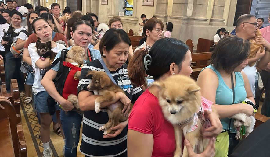 In this photo taken with a smartphone, pet owners stand in a queue to receive holy water sprinkled by a priest on pet dogs and cats during an animal blessing rites at the Malate Church in Manila, Philippines, Sunday, October. 4, 2026. (AP Photo/Joeal Calupitan)