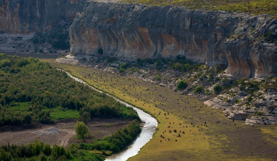 Goats graze along the Pecos river near it's confluence with the Rio Grande river at the border with Mexico, Friday, Sept. 25, 2026, near Comstock, Texas. (AP Photo/John Locher)