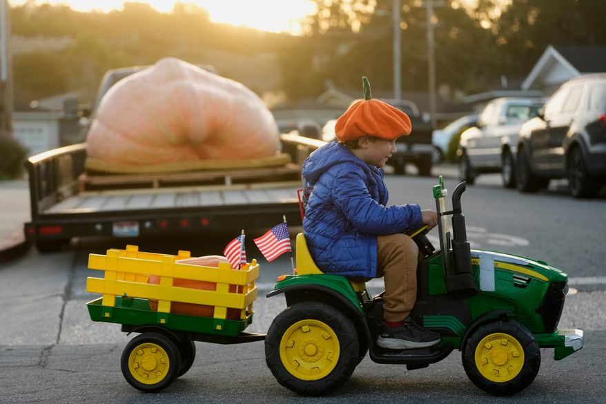 Miles, 6, drives past a large pumpkin that will entered in the Safeway World Championship Pumpkin Weigh-Off, Monday, Oct. 12, 2026, in Half Moon Bay, Calif. (AP Photo/Jeff Chiu)