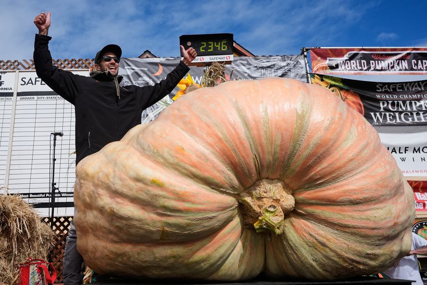 FILE - Brandon Dawson, left, celebrates after winning the Safeway 52nd annual World Championship Pumpkin Weigh-Off in Half Moon Bay, Calif., Oct. 13, 2025. (AP Photo/Godofredo A. Vásquez, File)