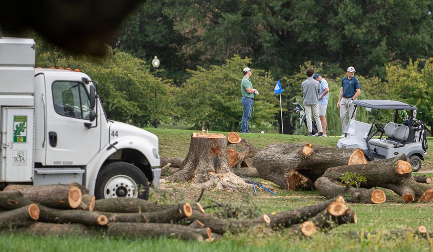 Golfers pass trees recently cut down by the National Park Service, at East Potomac Golf Links, Saturday, Oct. 10, 2026, in Washington. (AP Photo/Nathan Howard)