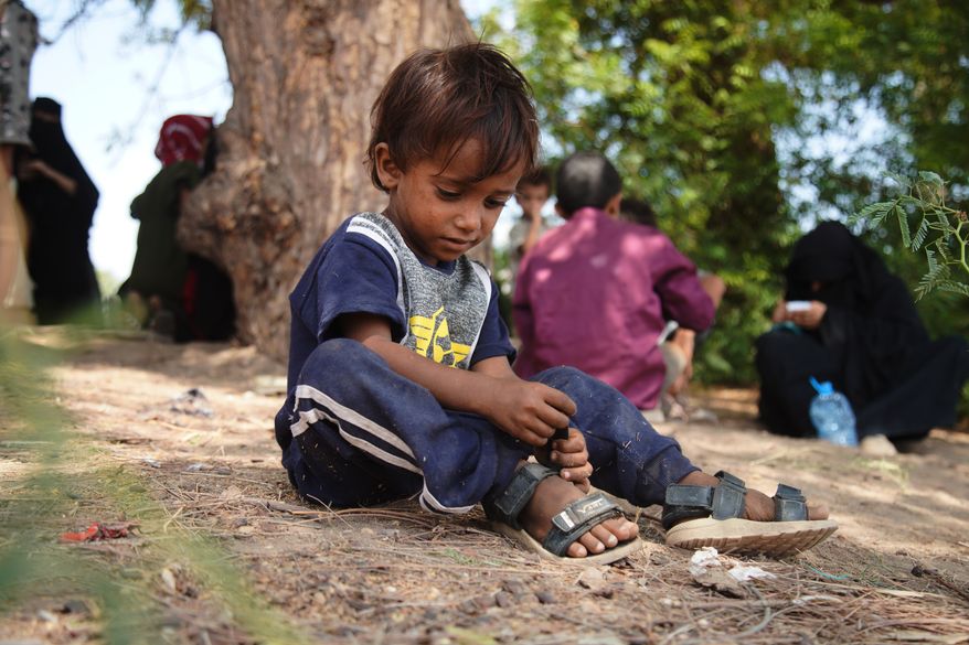 A displaced Yemeni child sits under a tree as families gather to receive aid at the Al-Fallahine displacement camp in Dar Saad district, Aden, Yemen, Monday, Oct. 12, 2026. (AP Photo/Abdulnasser Alseddik)