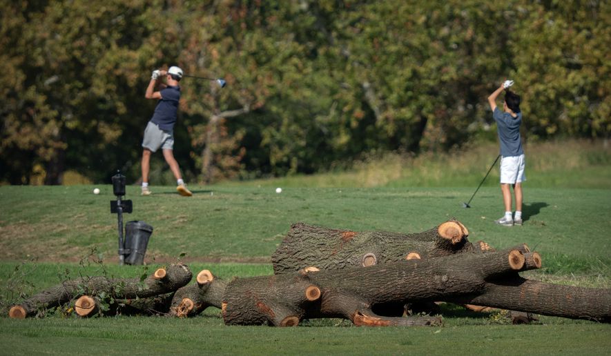 Golfers tee off near log sections cut from trees at the East Potomac Golf Links, Monday, Oct. 12, 2026, in Washington. (AP Photo/Mark Schiefelbein)