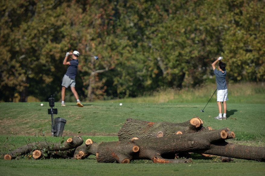 Golfers tee off near log sections cut from trees at the East Potomac Golf Links, Monday, Oct. 12, 2026, in Washington. (AP Photo/Mark Schiefelbein)