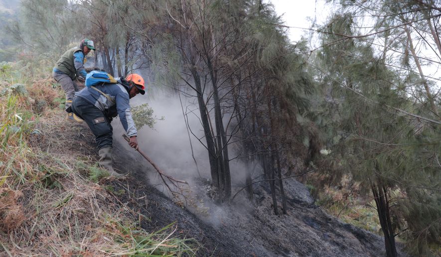FILE - Firefighters attempt to extinguish wildfire that razes through vegetation near Mount Bromo in Bromo Tengger Semeru National Park in Probolinggo, East Java, Indonesia, on Aug. 10, 2026. (AP Photo/Trisnadi, File)