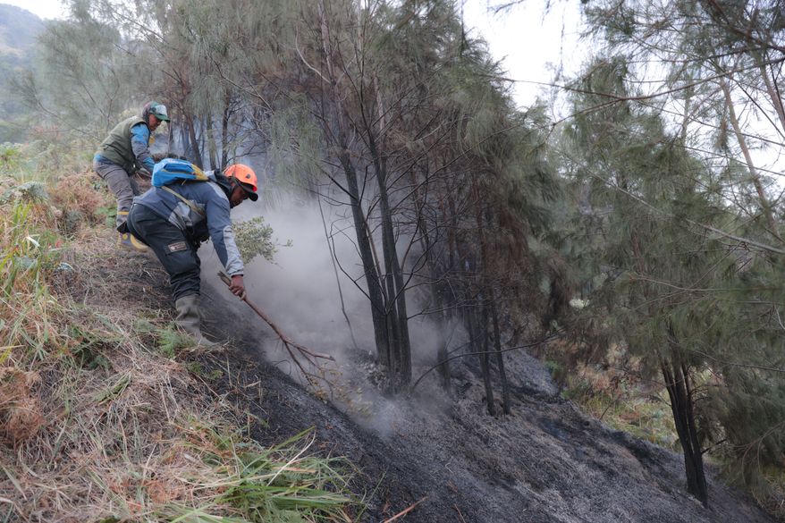 FILE - Firefighters attempt to extinguish wildfire that razes through vegetation near Mount Bromo in Bromo Tengger Semeru National Park in Probolinggo, East Java, Indonesia, on Aug. 10, 2026. (AP Photo/Trisnadi, File)