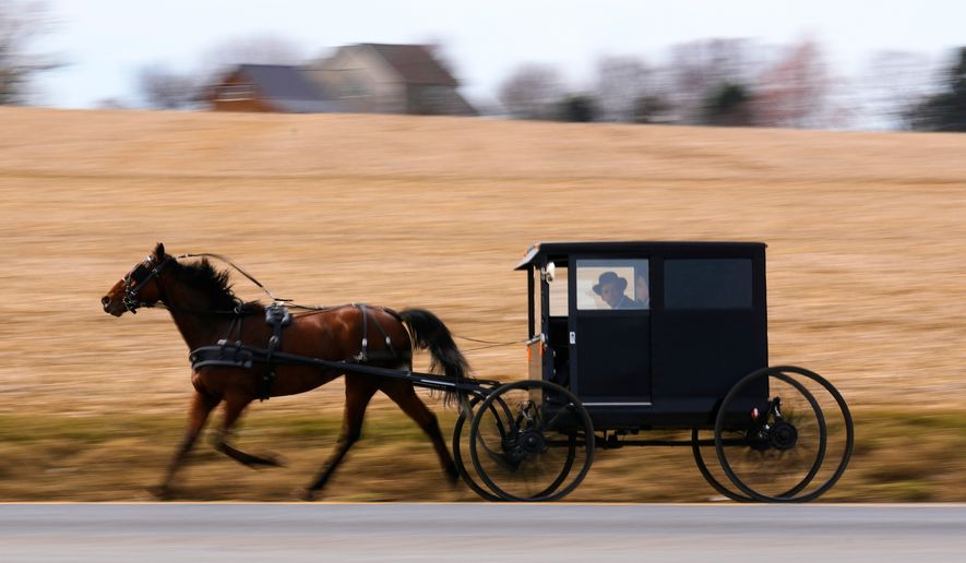 A buggy is driven on a country road, March 8, 2026, in Lancaster County, Pa. (AP Photo/Robert F. Bukaty, File)