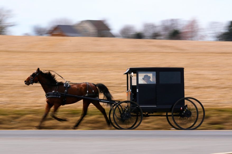 A buggy is driven on a country road, March 8, 2026, in Lancaster County, Pa. (AP Photo/Robert F. Bukaty, File)