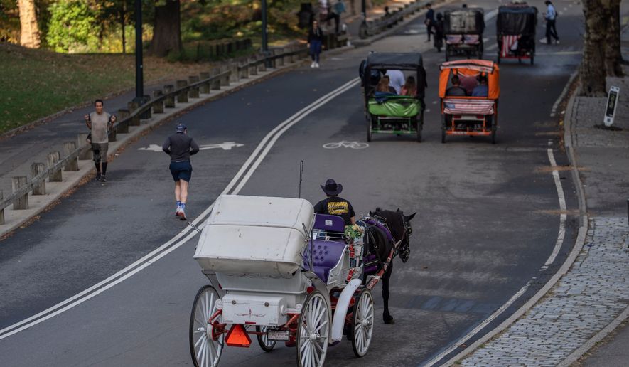 A horse-drawn carriage takes passengers for a loop through Central Park, Wednesday, Oct. 14, 2026, in New York. (AP Photo/Yuki Iwamura)