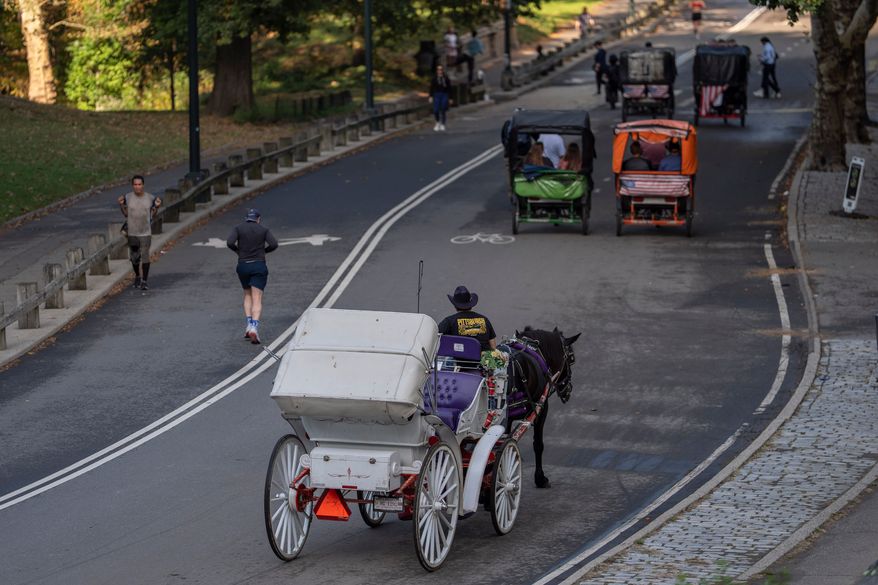 A horse-drawn carriage takes passengers for a loop through Central Park, Wednesday, Oct. 14, 2026, in New York. (AP Photo/Yuki Iwamura)