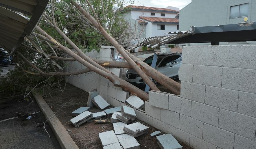 Uprooted trees cause damage at a local apartment complex after storms hit the area, Wednesday, Oct. 21, 2026, in Mesa, Ariz. (AP Photo/Ross D. Franklin)