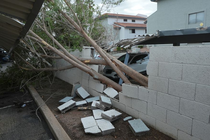 Uprooted trees cause damage at a local apartment complex after storms hit the area, Wednesday, Oct. 21, 2026, in Mesa, Ariz. (AP Photo/Ross D. Franklin)