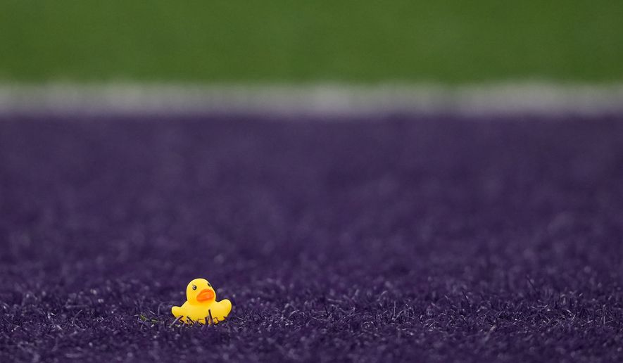 A small rubber duck sits in the end zone after being thrown from the stands during the second half of an NCAA college football game between Washington and Oregon, in Seattle, Nov. 29, 2025. (AP Photo/Lindsey Wasson, File)