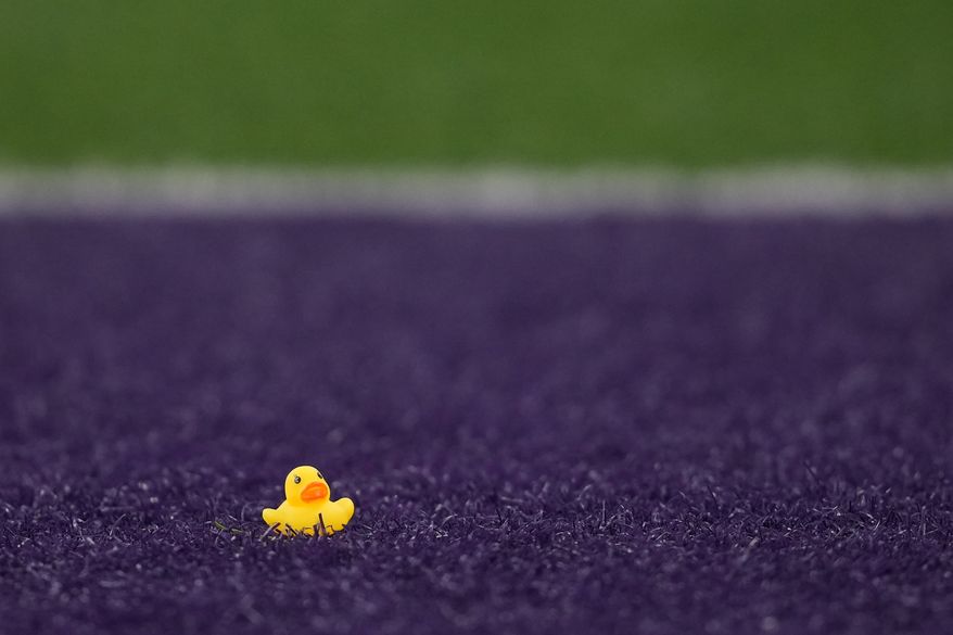 A small rubber duck sits in the end zone after being thrown from the stands during the second half of an NCAA college football game between Washington and Oregon, in Seattle, Nov. 29, 2025. (AP Photo/Lindsey Wasson, File)