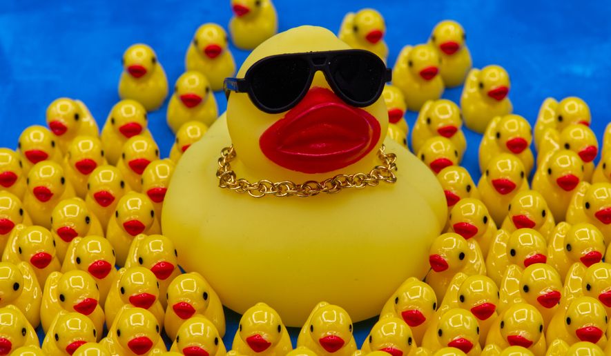 A rubber duck wearing a gold chain necklace and sunglasses is surrounded by smaller ducks in Phoenix, AZ, Thursday, Oct. 22, 2026. (AP Photo/Dario Lopez-Mills)
