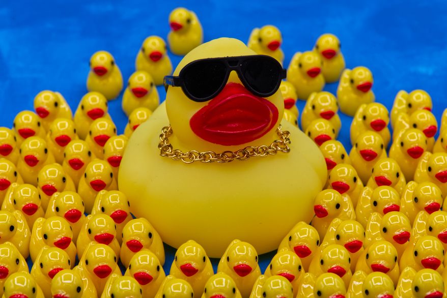 A rubber duck wearing a gold chain necklace and sunglasses is surrounded by smaller ducks in Phoenix, AZ, Thursday, Oct. 22, 2026. (AP Photo/Dario Lopez-Mills)