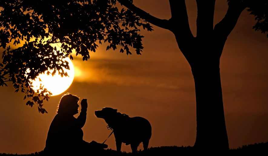 FILE - A woman plays with her dog at sunset, Saturday, Nov. 6, 2021, at a park in Kansas City, Mo. (AP Photo/Charlie Riedel, File)