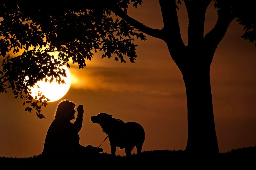FILE - A woman plays with her dog at sunset, Saturday, Nov. 6, 2021, at a park in Kansas City, Mo. (AP Photo/Charlie Riedel, File)